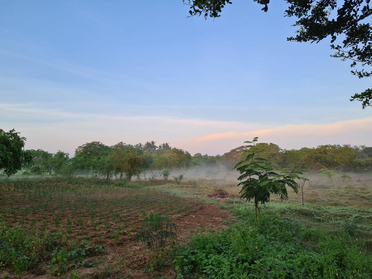 Ranakeliya Lodge - Yala Bagian luar foto