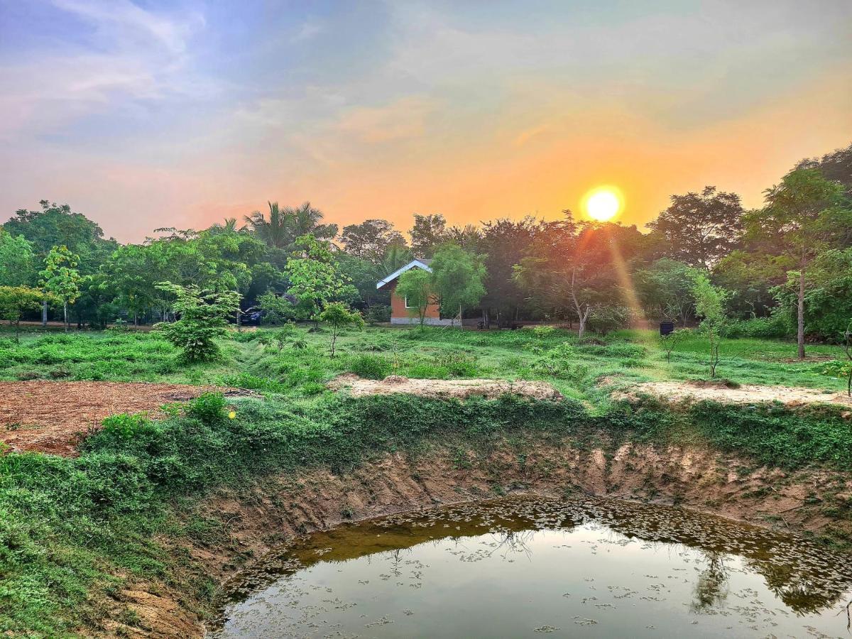 Ranakeliya Lodge - Yala Bagian luar foto