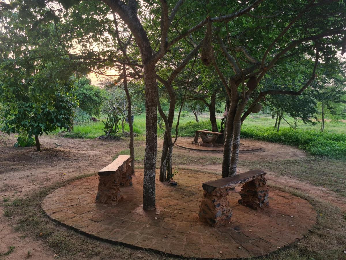 Ranakeliya Lodge - Yala Bagian luar foto