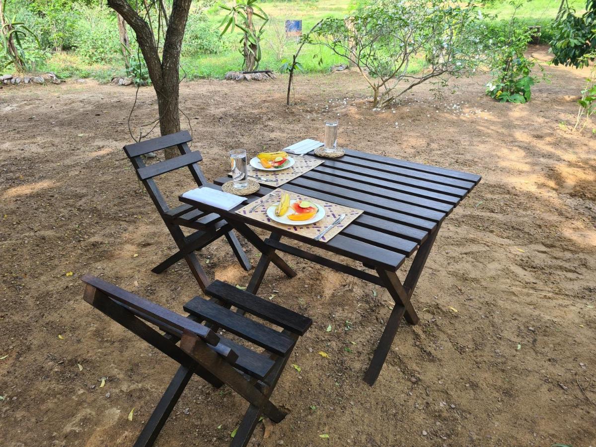 Ranakeliya Lodge - Yala Bagian luar foto