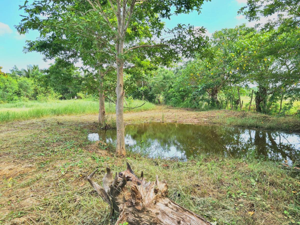 Ranakeliya Lodge - Yala Bagian luar foto