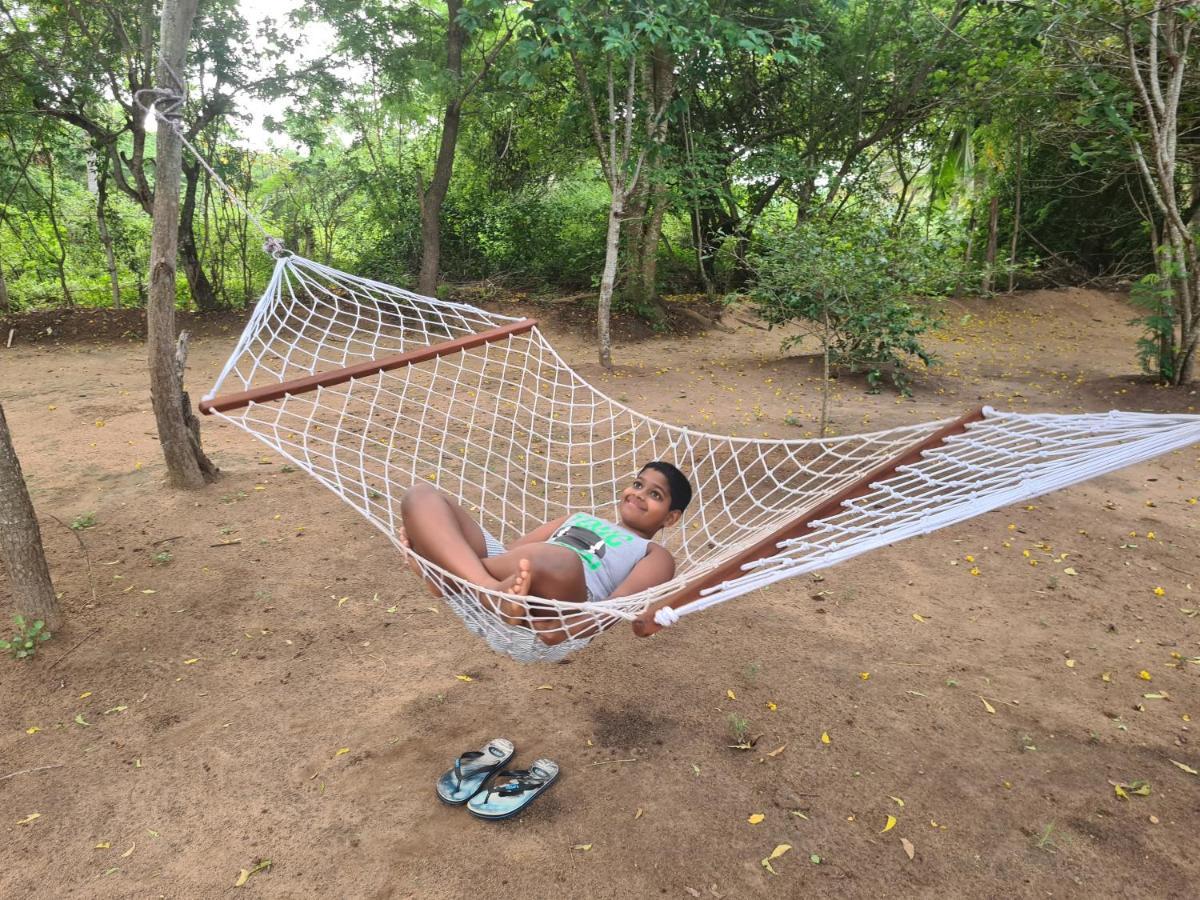Ranakeliya Lodge - Yala Bagian luar foto