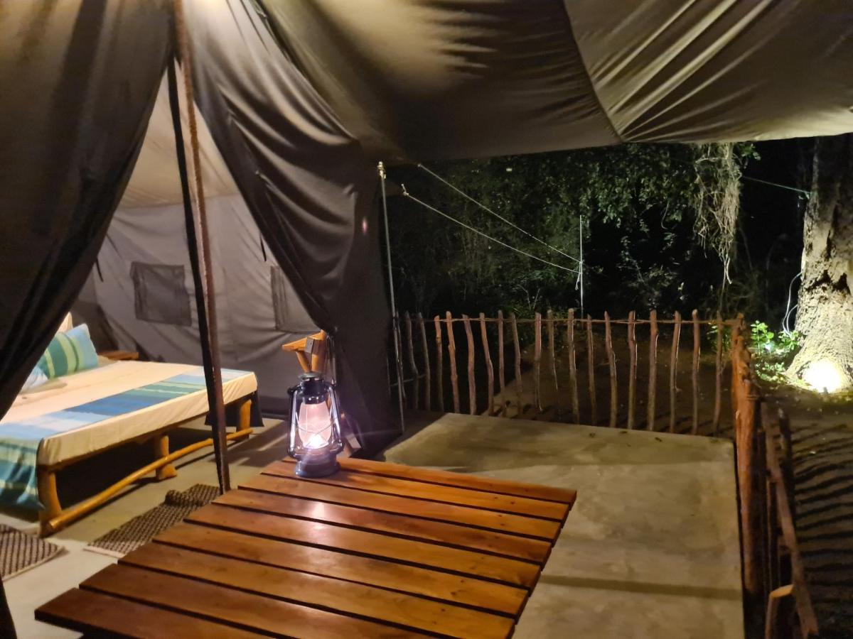 Ranakeliya Lodge - Yala Bagian luar foto