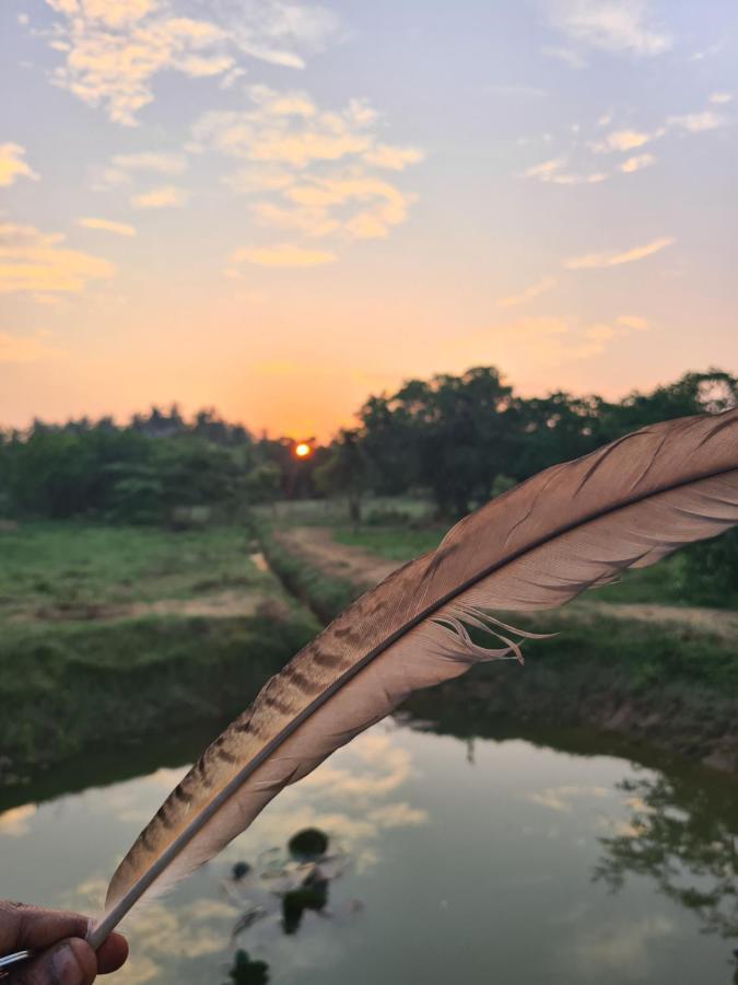 Ranakeliya Lodge - Yala Bagian luar foto