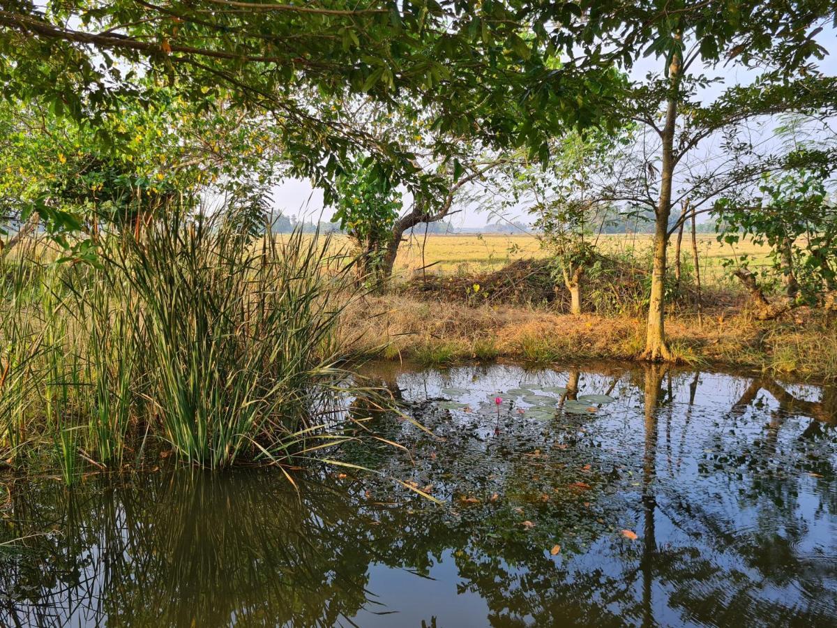 Ranakeliya Lodge - Yala Bagian luar foto