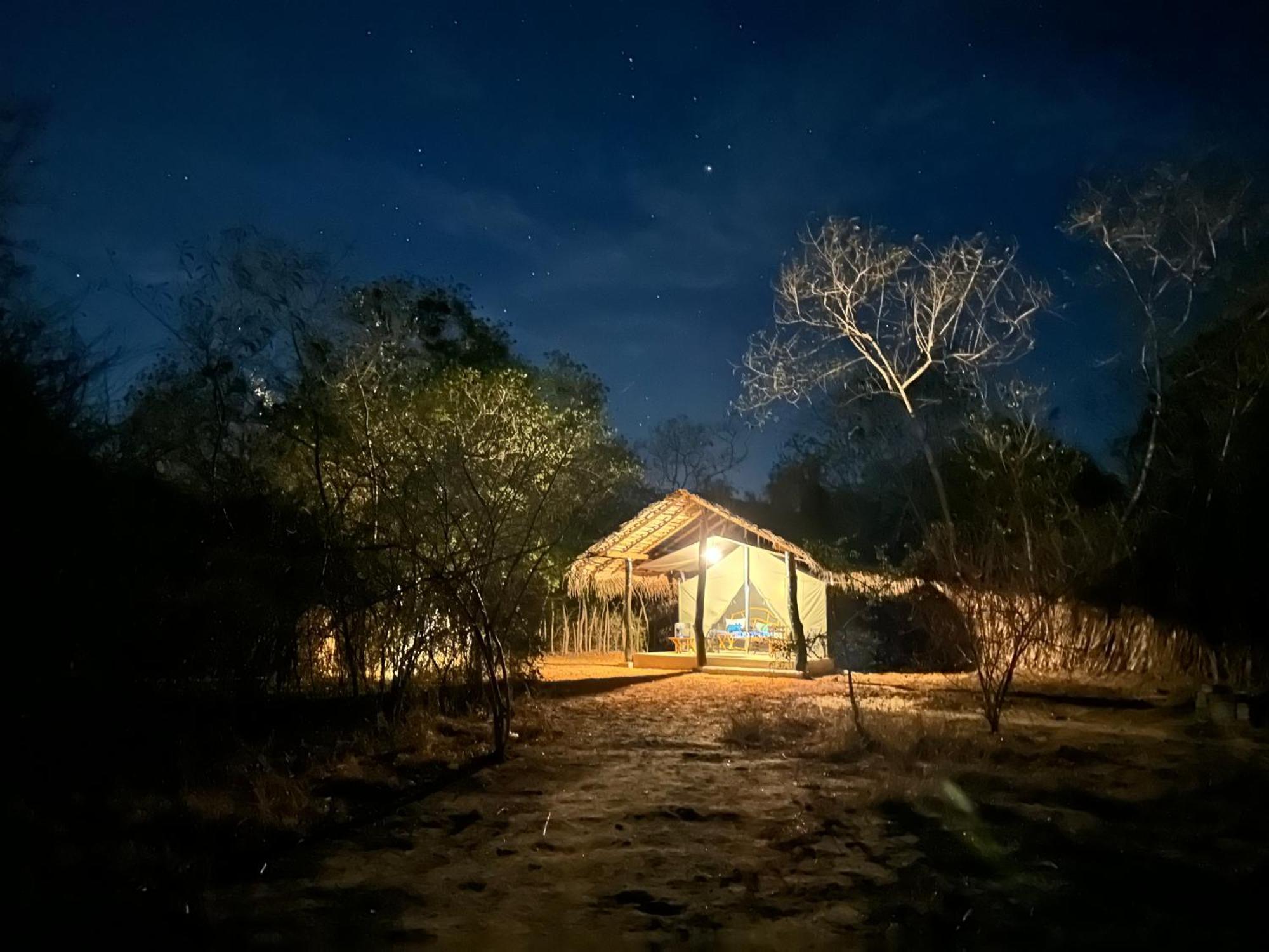 Ranakeliya Lodge - Yala Bagian luar foto