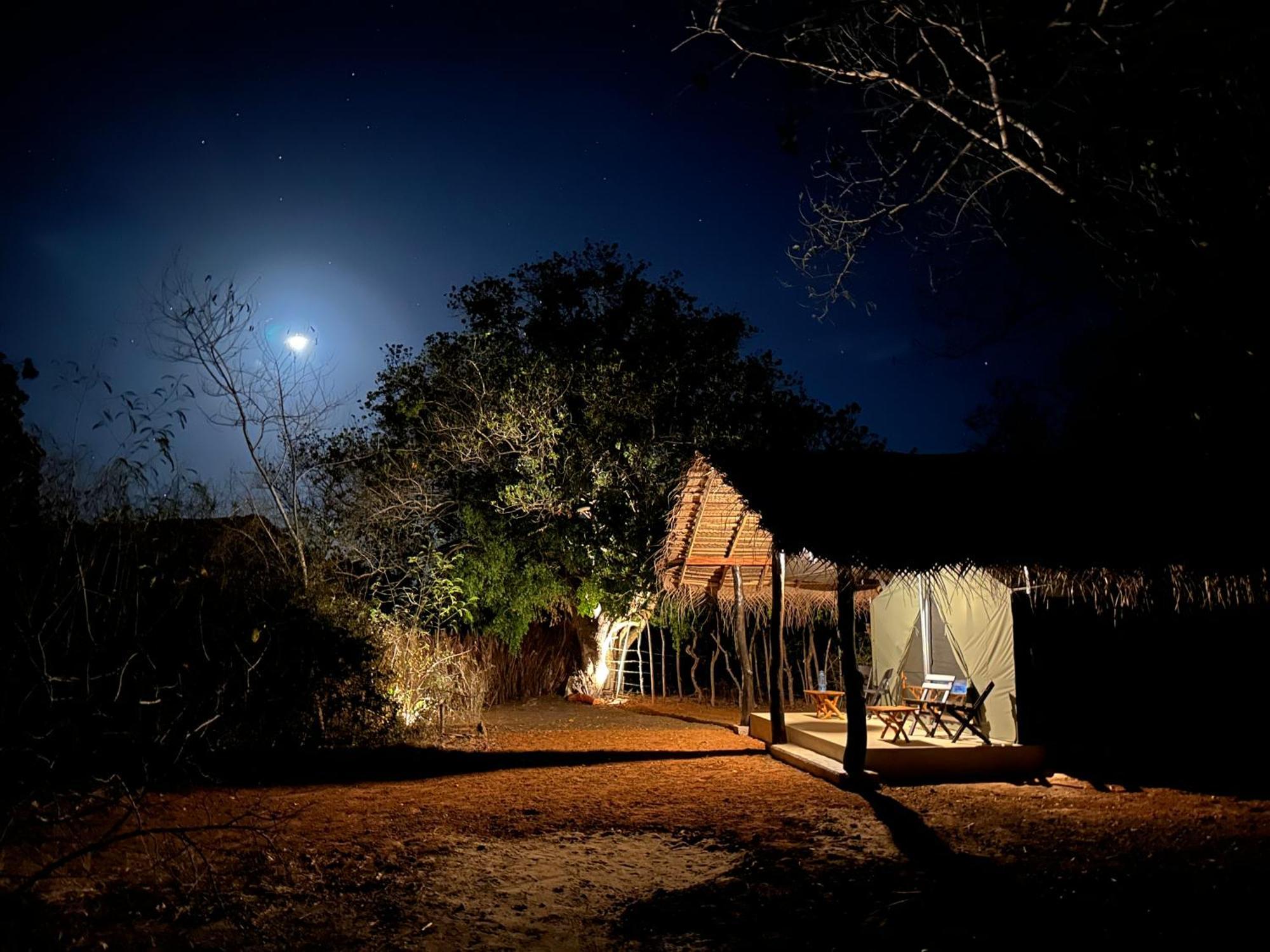 Ranakeliya Lodge - Yala Bagian luar foto