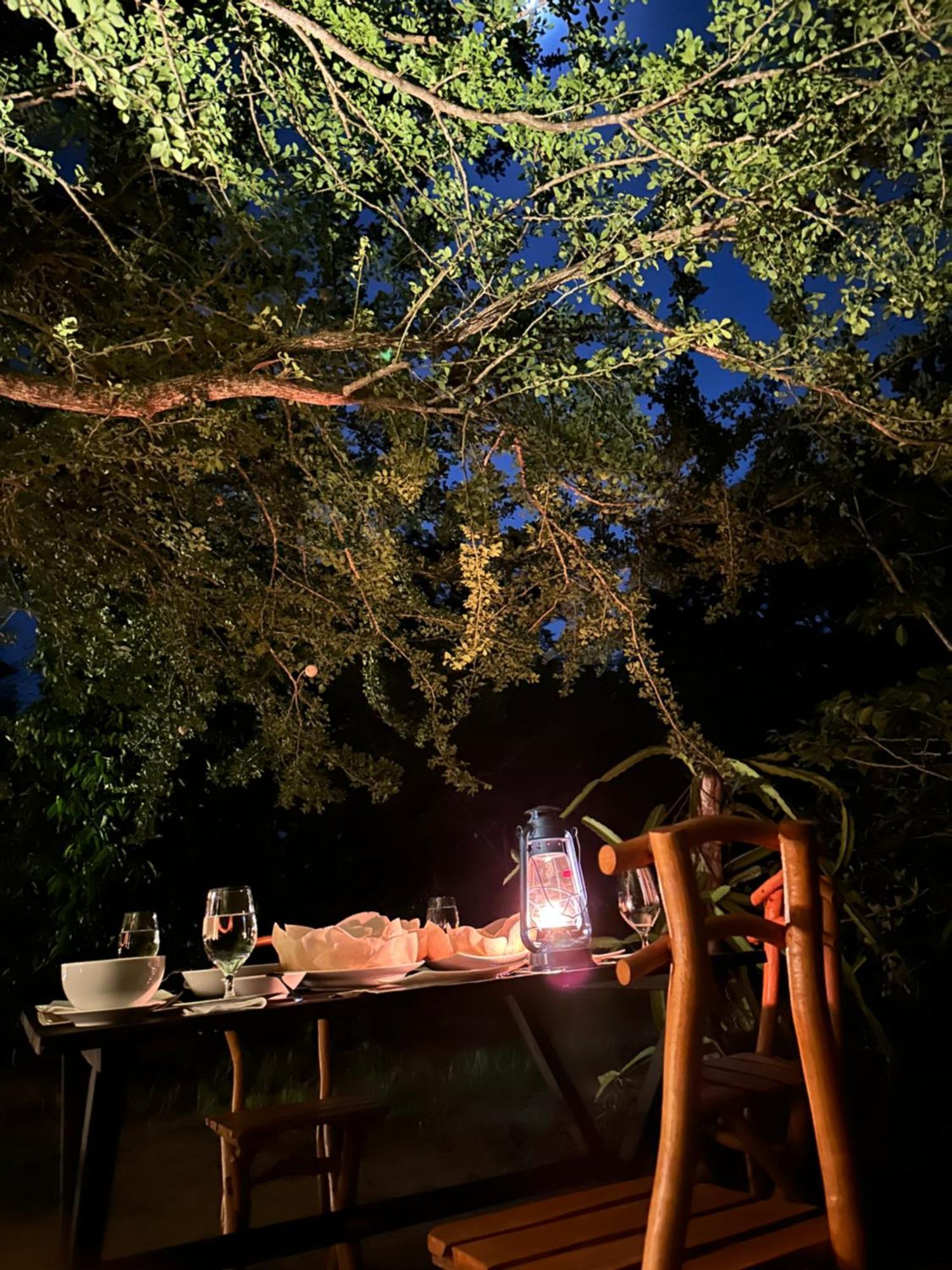 Ranakeliya Lodge - Yala Bagian luar foto